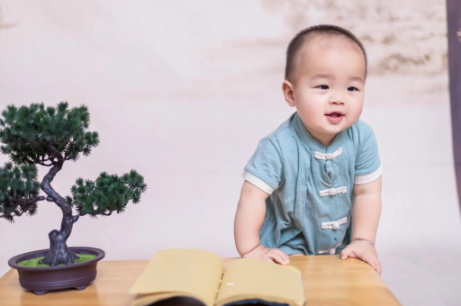 东方可爱的企鹅宝宝